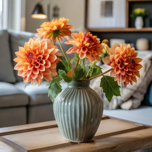 Garden State Bulb #1, Go-Go Peach Dahlia Flower Bulbs Bare Roots