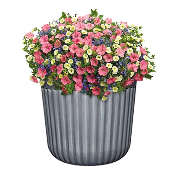 12 in. Arlington Fluted Shadow Slate Resin Planter Fits 12 in. Drop-N-Decorate