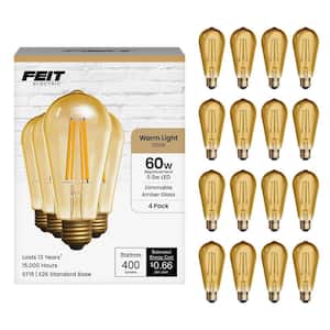 60-Watt Equivalent ST19 Dimmable Straight Filament Amber Glass E26 Vintage Edison LED Light Bulb, Warm White (16-Pack)
