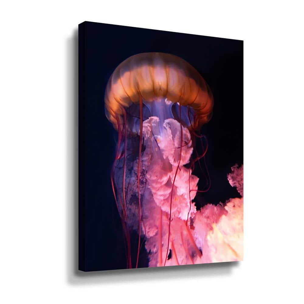 ArtWall Gelly' by PhotoINC Studio Canvas Wall Art 5pst177a1824w - The ...