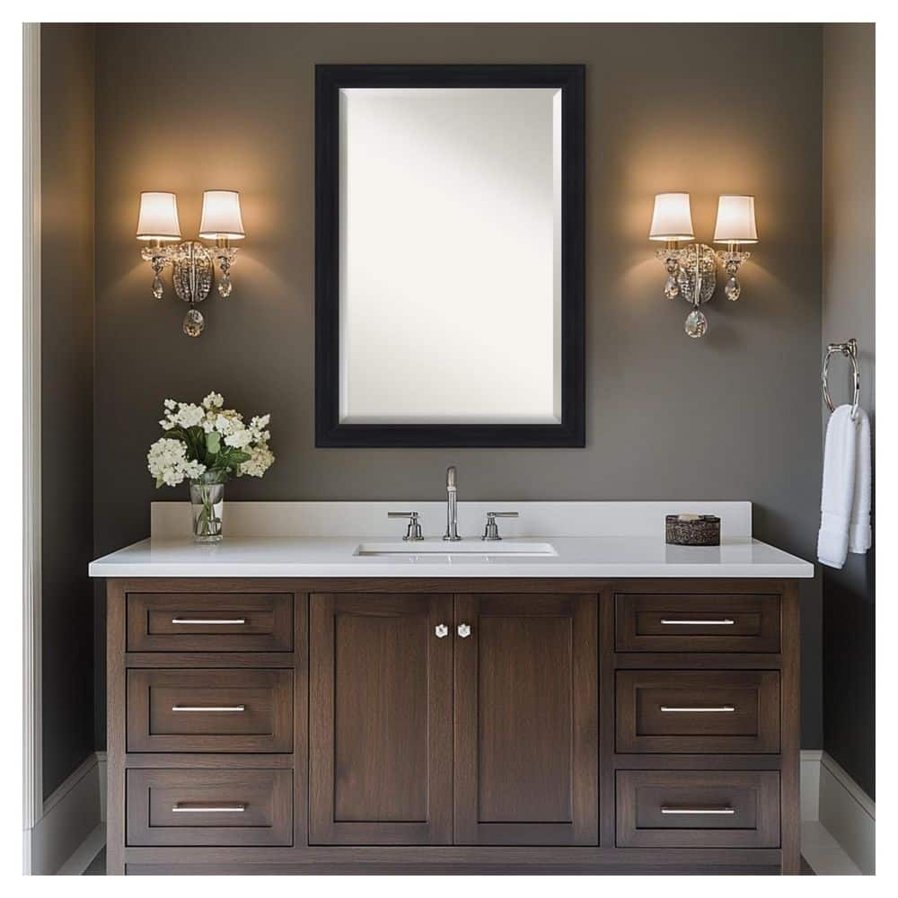Abbey Black 40.75 in. x 28.75 in. Beveled Traditional Rectangle Framed Bathroom Wall Mirror price history on PriceWatchPro
