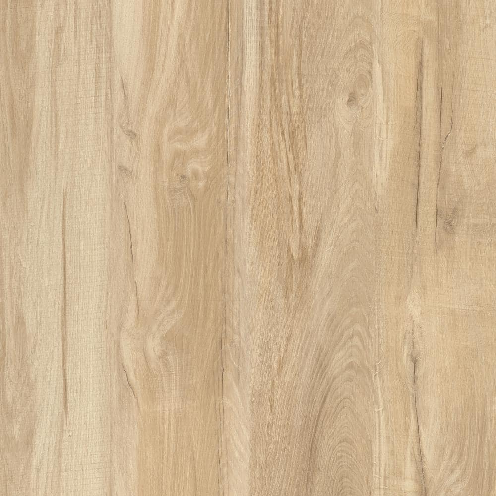 Lifeproof Take Home Sample - Baileys Beach Oak Click Lock Luxury Vinyl  Plank Flooring HA-527098 - The Home Depot