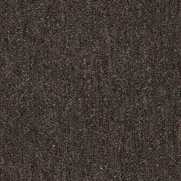 TrafficMaster Viking - Tapestry - Brown  12 ft. Wide x Cut to Length 11.3 oz. Olefin Loop Carpet