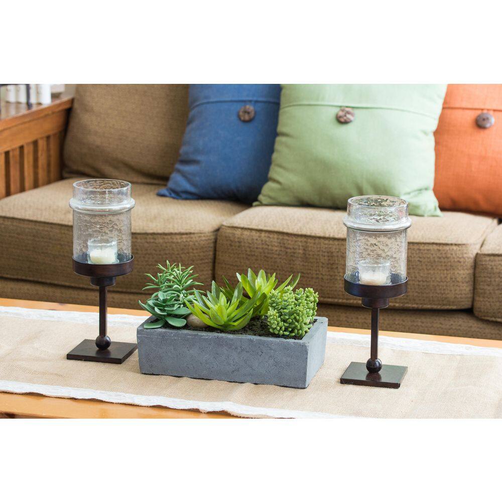 Decorative Outdoor Tabletop Succulent Ensemble in Cement Planter