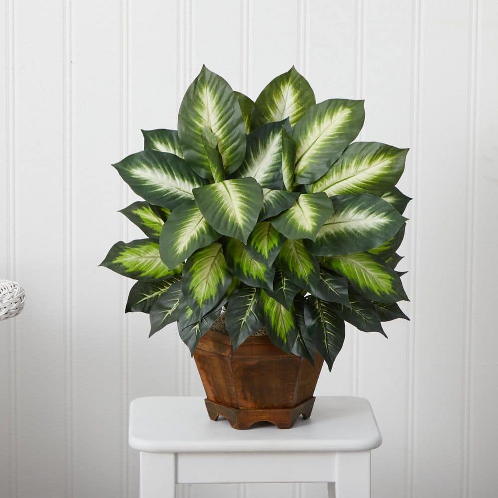 Compact Golden Leaf Dieffenbachia Silk Plant with Traditional Wooden Vase