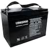 UPG 6-Volt 200 Ah I4 Terminal Sealed Lead Acid (SLA) AGM Rechargeable ...