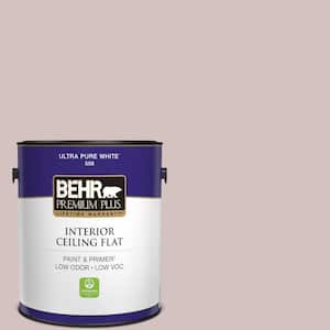 1 gal. #120E-2 French Taupe Ceiling Flat Interior Paint