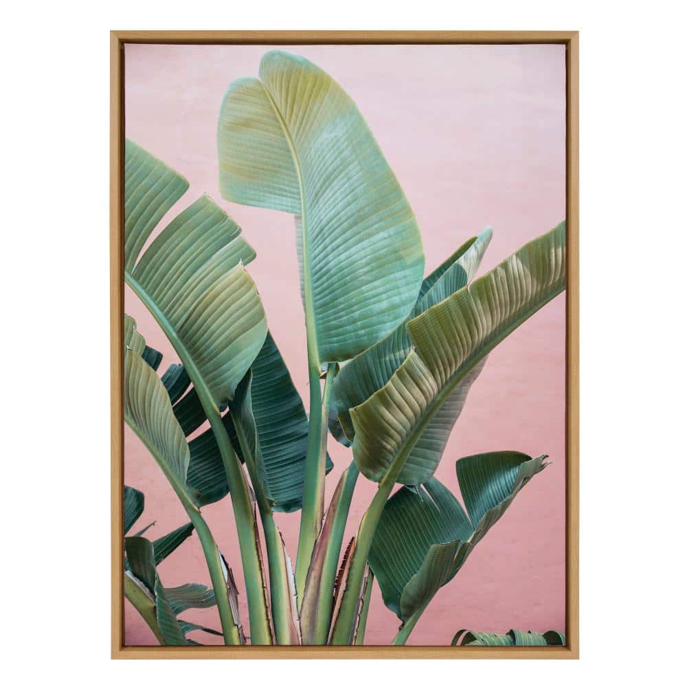 Tropic Pink Framed Canvas Wall Art with Natural Wood Frame