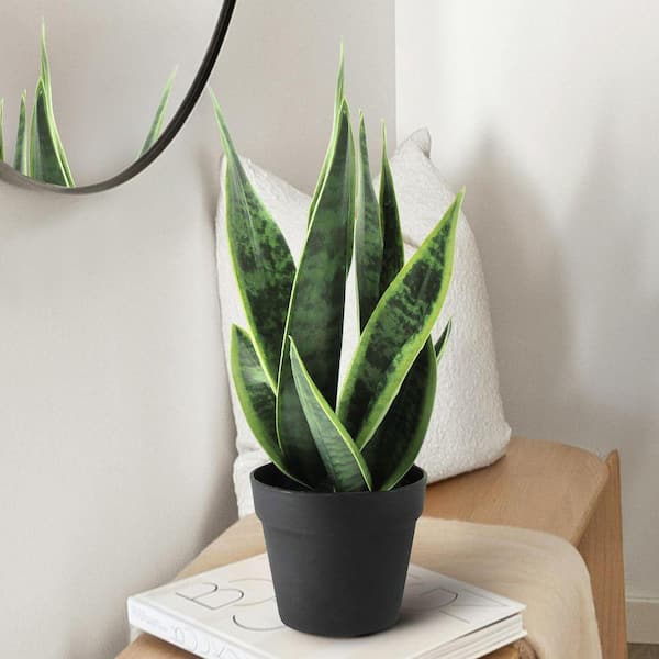 LIVING LUXURY 16 in. Sansevieria Artificial Snake Plant in Black
