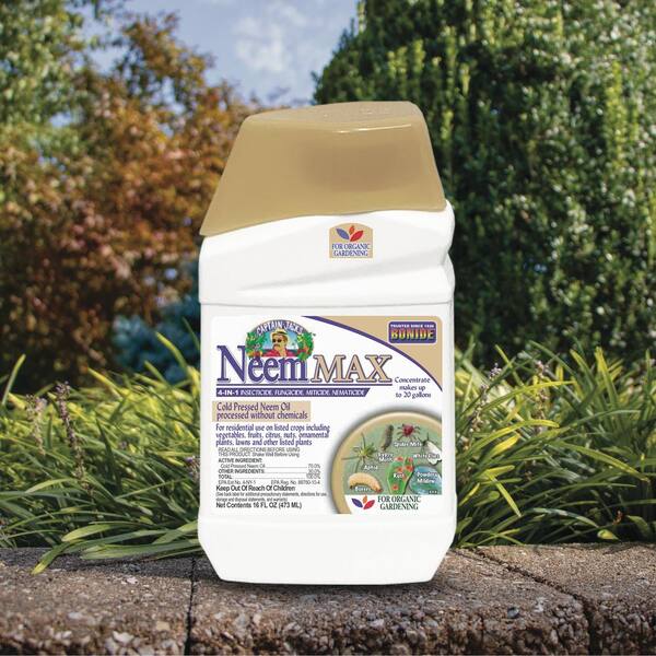 Reviews for Bonide Captain Jack's NeemMax 16 oz Cold Pressed Neem Oil  Concentrate Insecticide Fungicide Miticide and Nematicide | Pg 1 - The Home  Depot