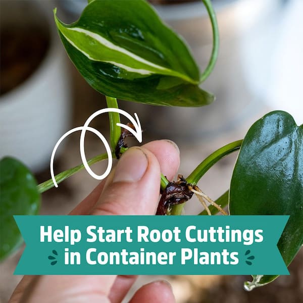 Back to the Roots - 2 cu. ft. Organic Perlite Soil Amendment