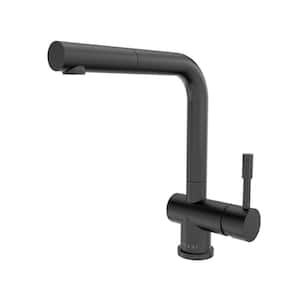 Nassau 1-Handle Pull Out Sprayer Kitchen Faucet (with Spray Feature) in Gun Metal