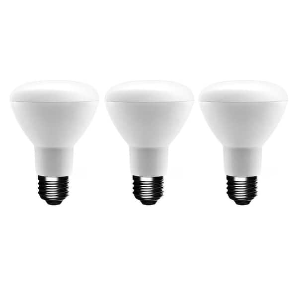 EcoSmart 50-Watt Equivalent R20 Dimmable Energy Star LED Light Bulb Daylight (3-Pack)