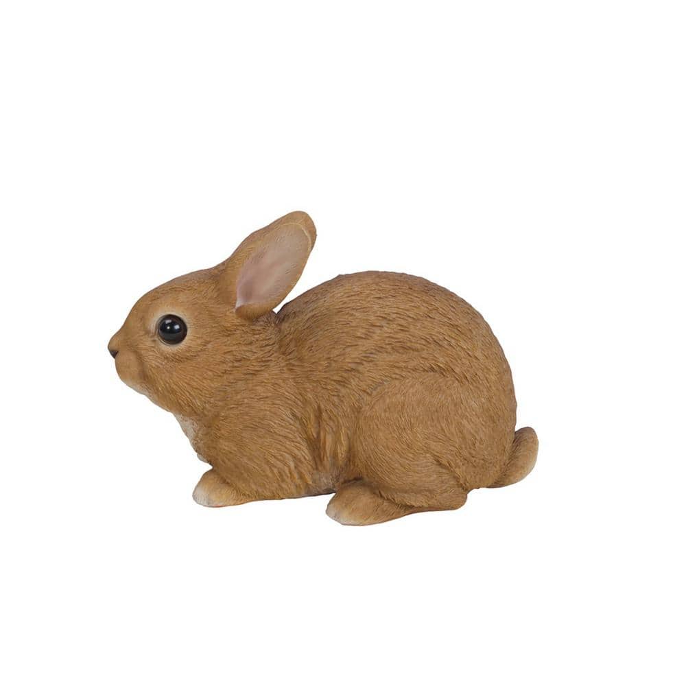 Rabbit Sitting price history on PriceWatchPro