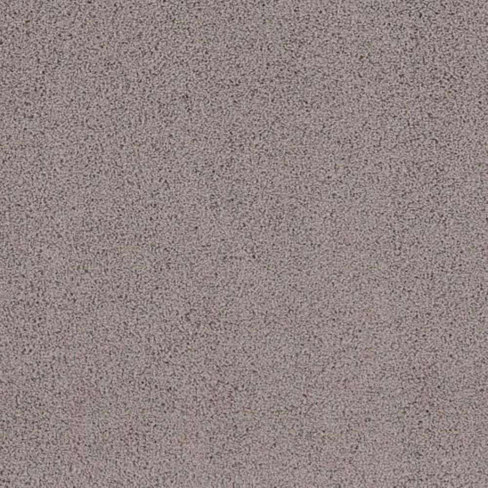 Lifeproof 8 in. x 8 in. Texture Carpet Sample - Around The World ...