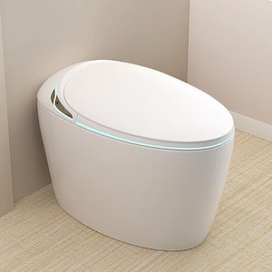 Elongated Smart Toilet 1.28 Gal. with Bidet Built-In, Warm Water Sprayer and Dryer Automatic Flush in White