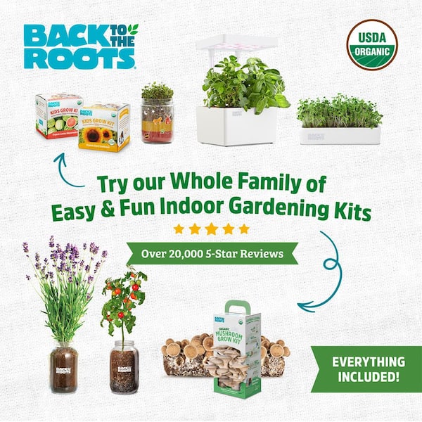 Back to The Roots Organic Terrarium Kids Grow Kit