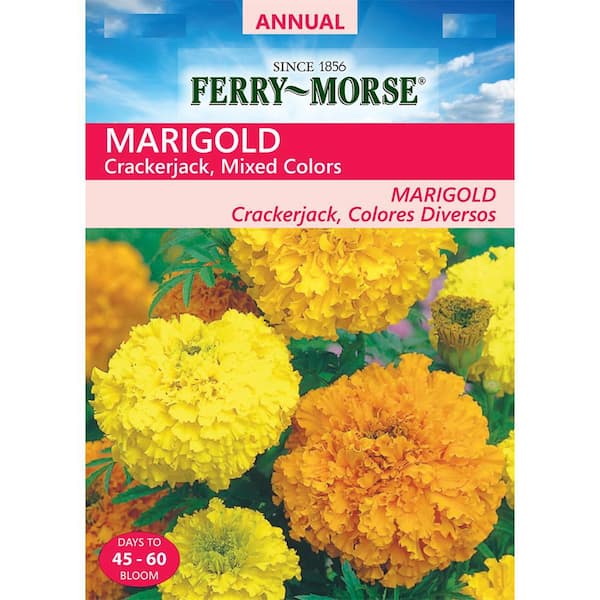 Ferry-Morse Marigold Crackerjack Mixed Colors Seed