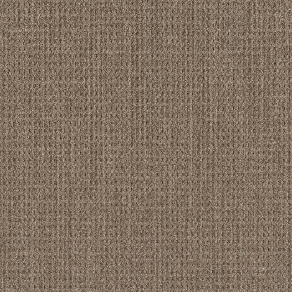 8 in. x 8 in. Pattern Carpet Sample - Sicily - Color Ashlar price history on PriceWatchPro