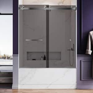 UKD01 56 to 60 in. W x 66 in. H Double Sliding Frameless Bathtub Door in Stainless Steel with EnduroShield Tinted Glass