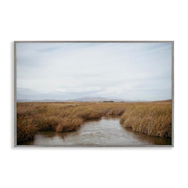 Stupell Industries Marshland Stream View by Crystal Lynn Collins Gray Framed Nature Giclee Art Print 16 in. x 24 in.