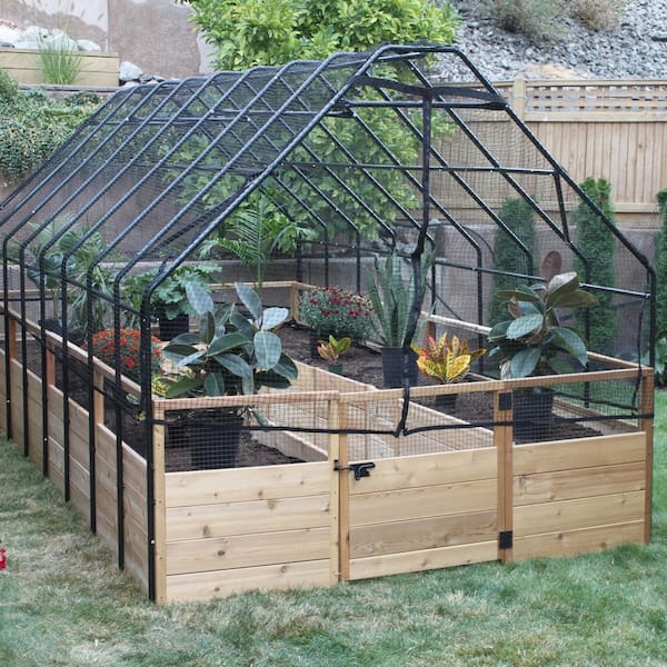 8 ft. x 12 ft. Cedar Wood Garden in A Box with Bird Net Cover