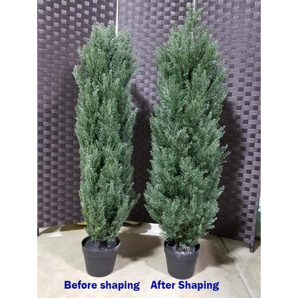 4ft Dark Green Cedar Topiary Trees in Black Cement Pots, Set of 2