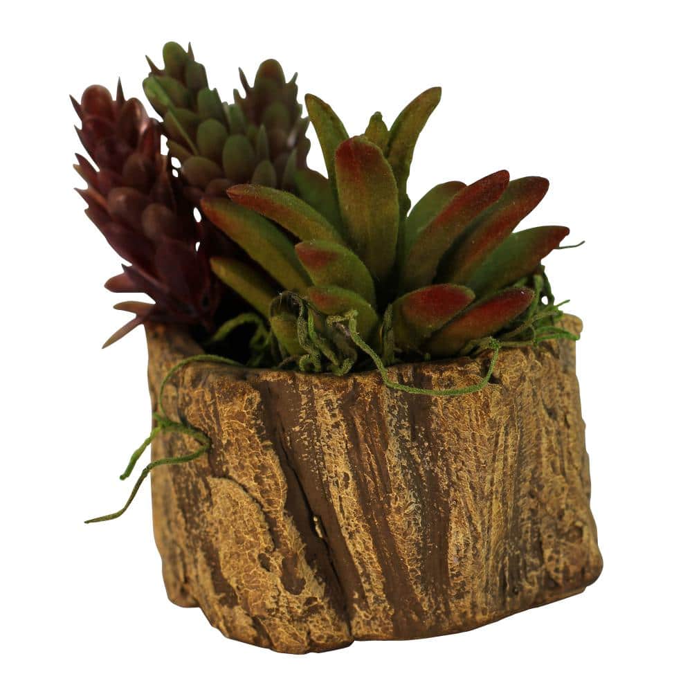 3 in. x 3 in. x 2.25 in. Driftwood Ceramic Wood Plant Pot - Unique Succulen