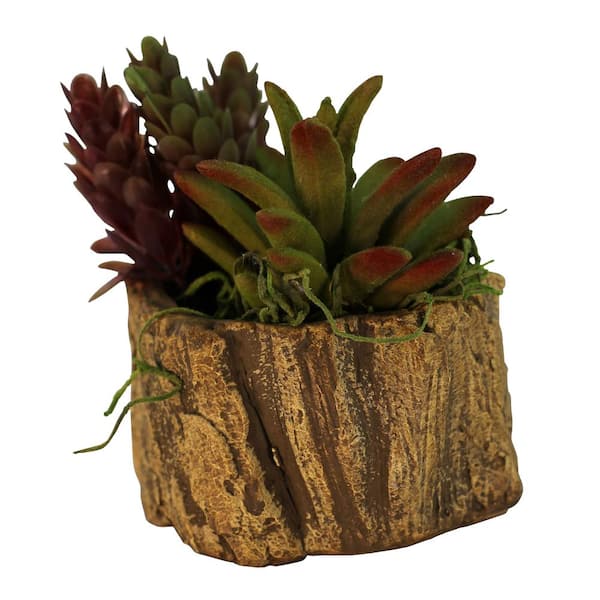 Unbranded 3 in. x 3 in. x 2.25 in. Driftwood Ceramic Wood Plant Pot - Unique Succulent Planter Stump Log