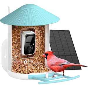 Blue Plastic 50 oz. Smart Solar Bird Feeder with Camera, Auto Capture Bird Videos & Motion Detection