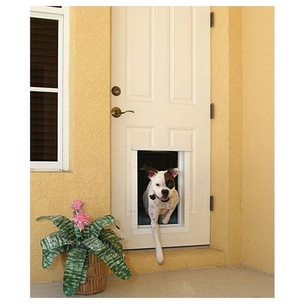 PlexiDor Performance PDE Electronic Pet Door For Dogs Cats Mount Dog • Price