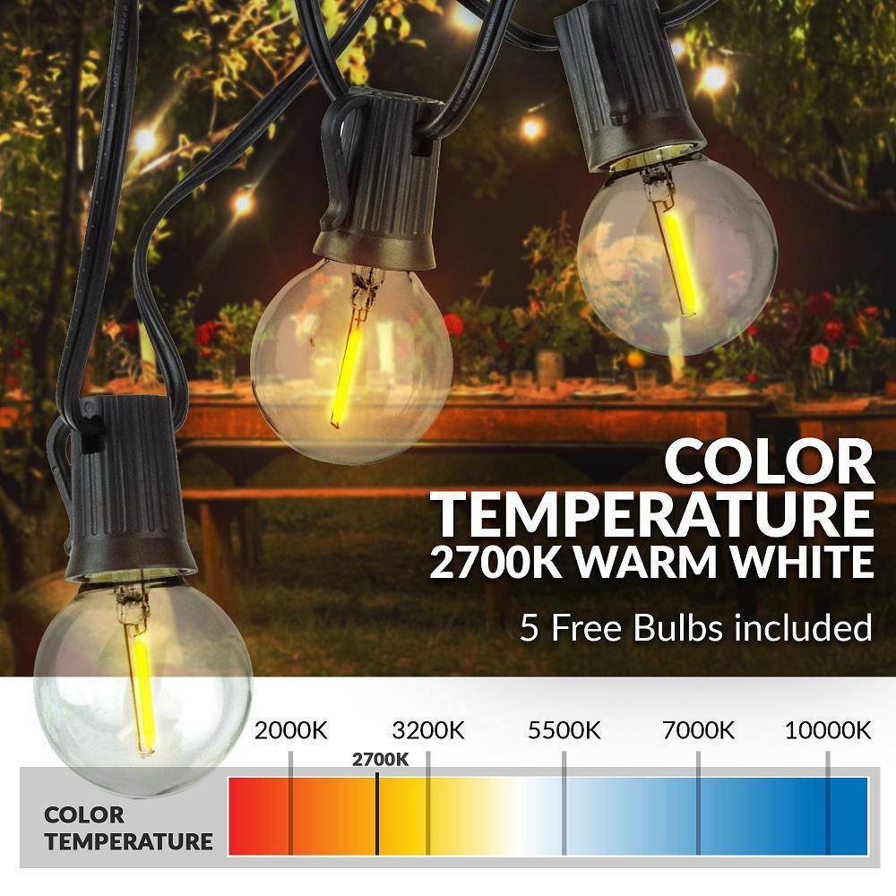 50 ft Black LED Globe String Lights with Warm White Bulbs