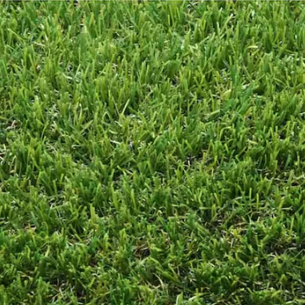 Heavyweight Emerald Green Turf 6 ft. x 8 ft. Green Artificial Turf Grass Rug