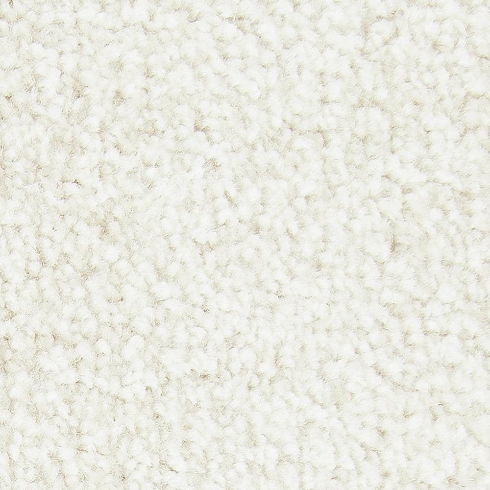 8 in. x 8 in. Texture Carpet Sample - Gentle Peace I -Color Cashmere price history on PriceWatchPro