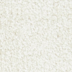 Gentle Peace I  - Cashmere - Beige 45 oz. Triexta Texture Installed Carpet