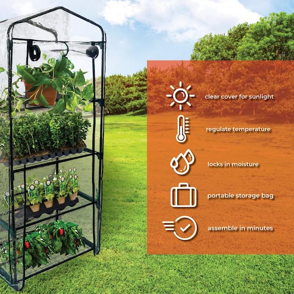 BACKYARD EXPRESSIONS PATIO · HOME · GARDEN Backyard Expressions 27 in. x 19  in. x 62 in. Portable Mini Tier Greenhouse with Cover 911217 The Home  Depot