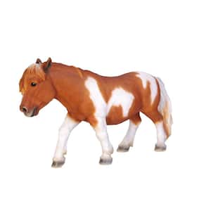 Brown/White Shetland Pony