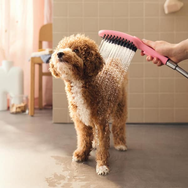 Hansgrohe Dog Shower 3-Spray Patterns with 1.75 GPM 5 in. Wall