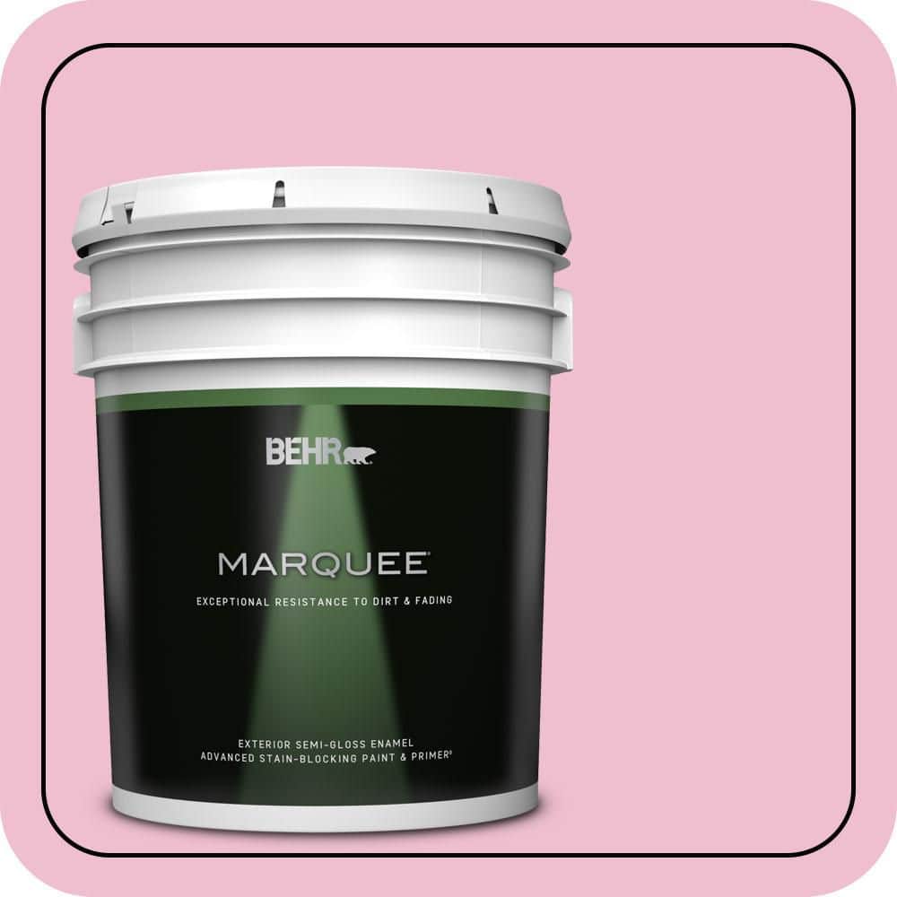 5 gal. #100B-4 Pink Chintz Semi-Gloss Enamel Exterior Paint & Primer price history on PriceWatchPro