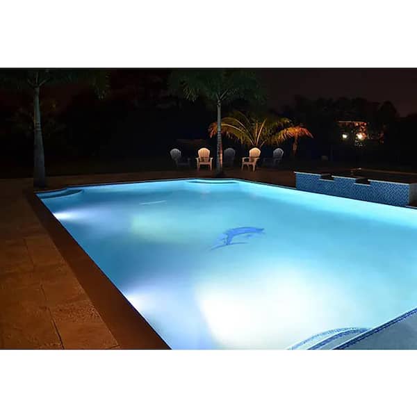 HAYWARD AstroLite 500-Watt/120-Volt 100 ft. Cord Pool Light with