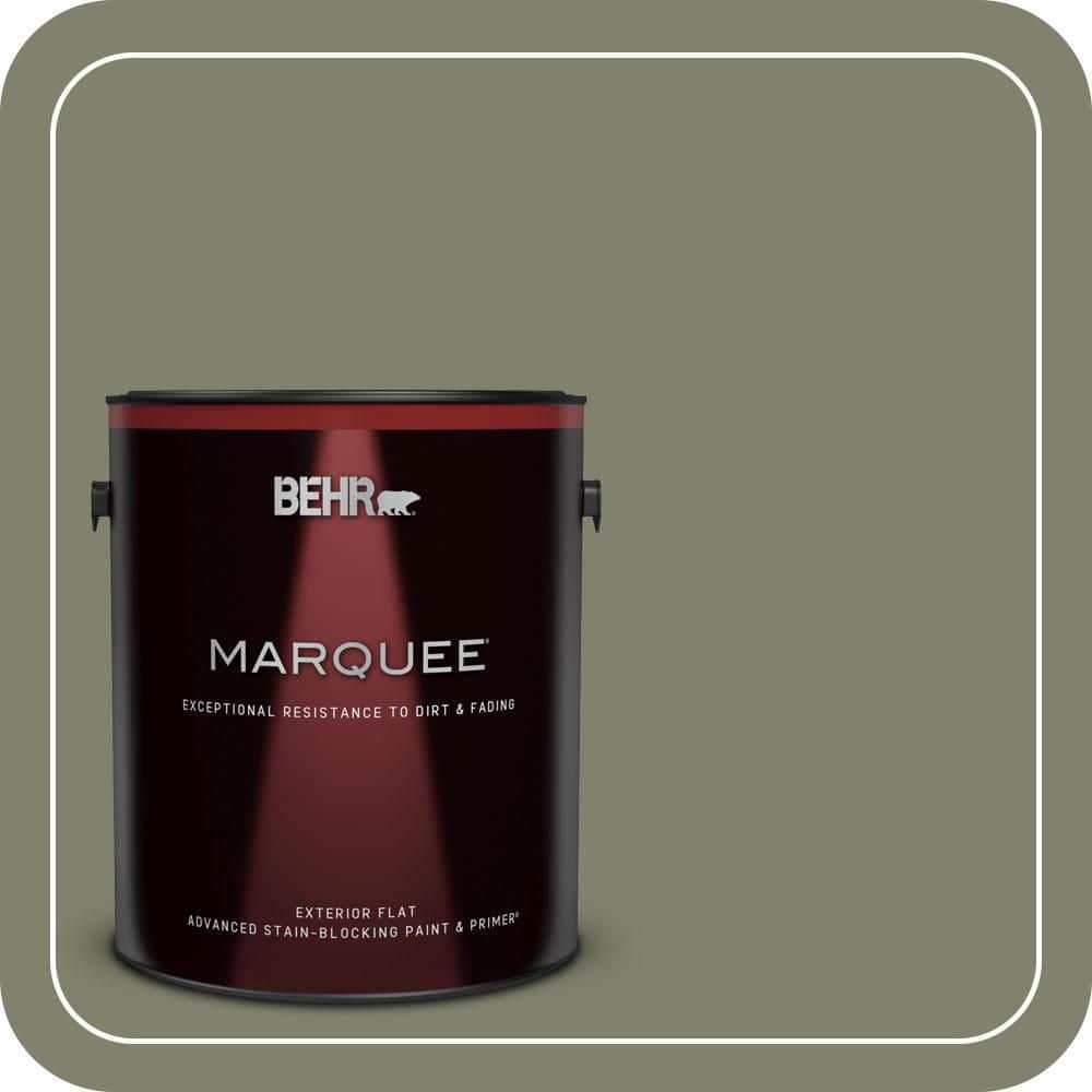 1 gal. #PPU10-18 Lizard Green Flat Exterior Paint & Primer price history on PriceWatchPro