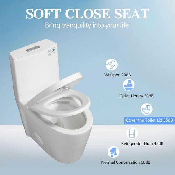 Aionor 1-Piece Toilet 1.1 GPF/1.6 GPF Dual Flush Elongated Toilet