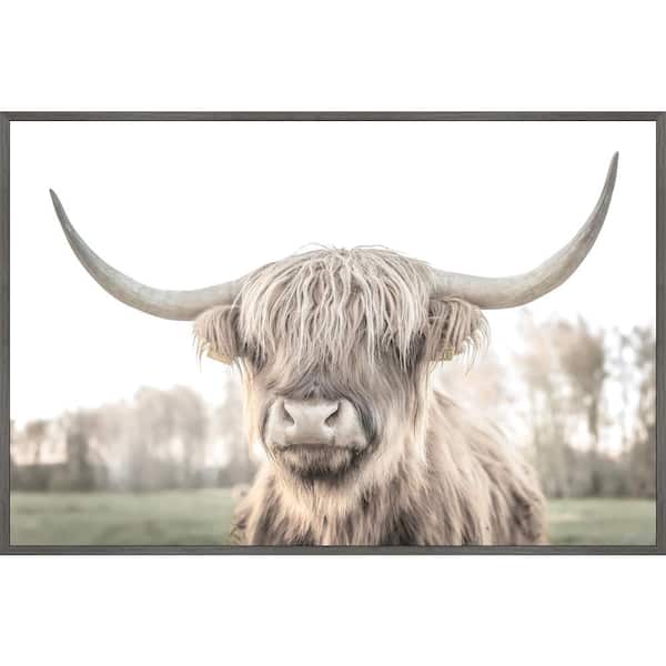Stupell Industries Highland Cattle Shaggy Hair Country Animal Portrait  Photography Black Framed Giclee, 24 x 30