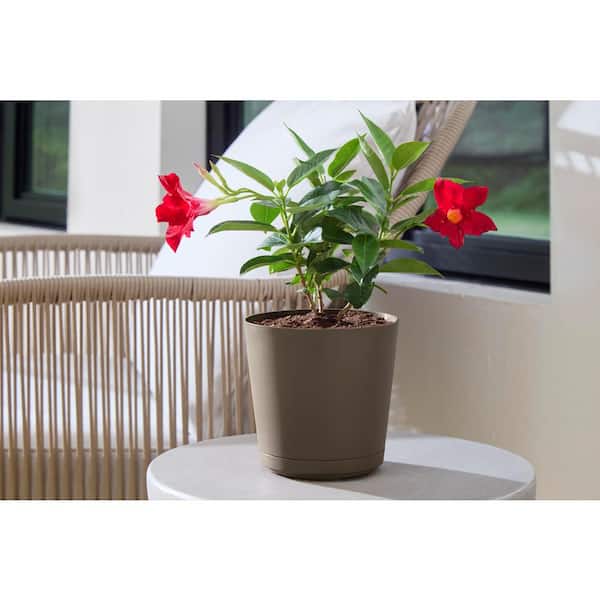 Plastic - Small - Plant Pots - The Home Depot