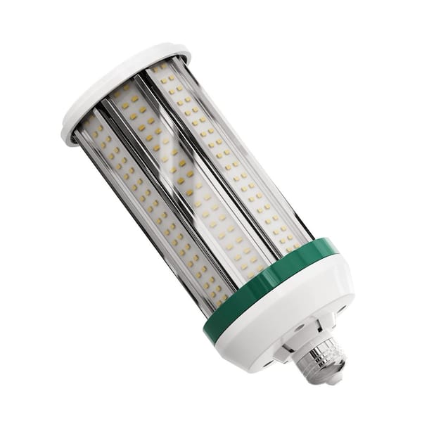 postzegel Woordvoerder Schema Pinegreen Lighting 500-Watt Equivalent 10000 Lumens E26 LED Cob Light Bulb  Daylight (5000K) (1-Bulb) CL-CB100 - The Home Depot
