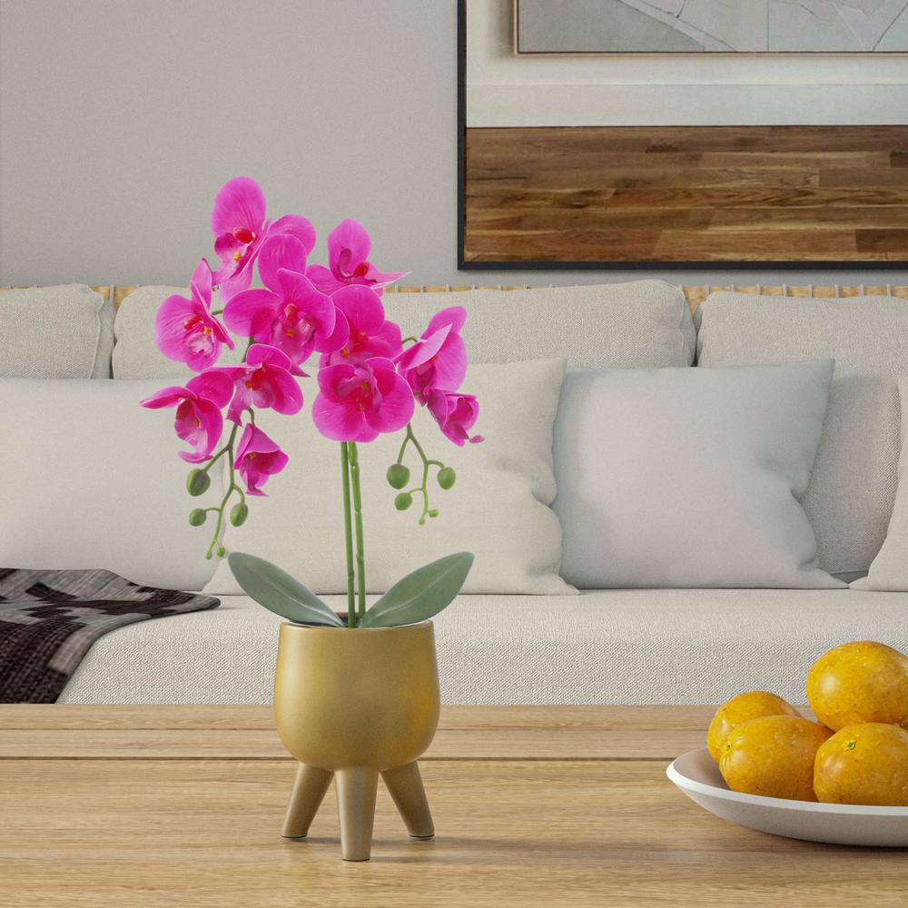 Elegant 21" Purple Orchid with Moss in Gold Vase Centerpiece