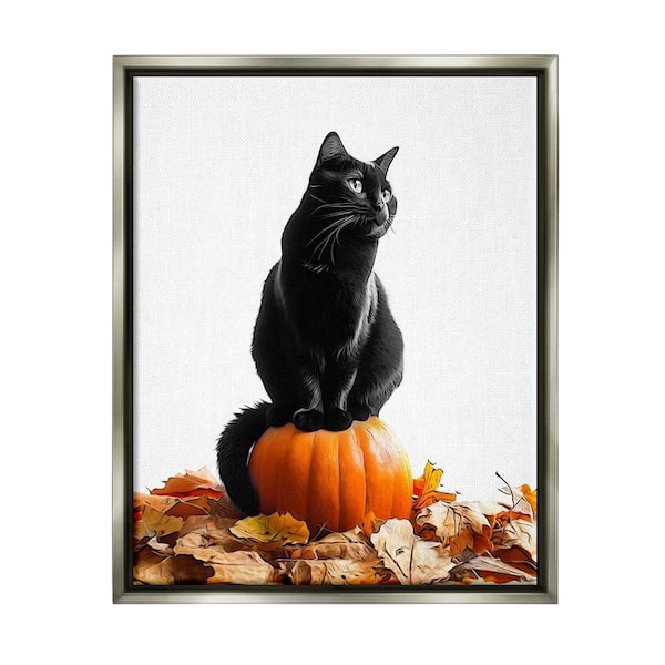 Stupell Industries Black Cat and Pumpkin by Annalisa Latella 1 Piece Floater Frame Graphic Print Animal Poster Art Print 21 in. x 17 in.