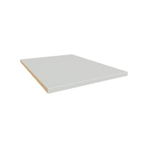 18 in. shelf (2-pack)