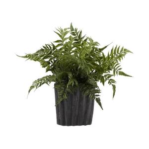 Artificial Indoor Small Leather Leaf Fern in Oval Ceramic