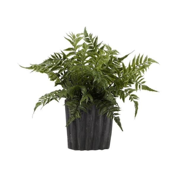 D&W Silks Artificial Indoor Small Leather Leaf Fern in Oval Ceramic
